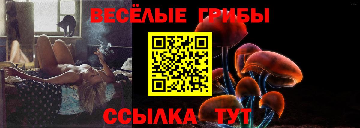 Псилоцибиновые грибы Psilocybe  Вход с VPN  Сердобск 